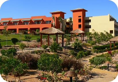 Holiday Village Sharm El Sheikh, Egipt